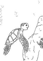 coloriage le voyage extraordinaire de samy 5